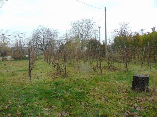 Győrben a Banai úti kertekben, zártkert eladó