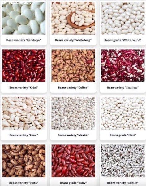 High-quality beans of various varieties