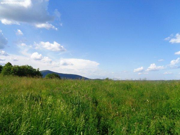 Vácon a Felső török hegyen, mezőgazdasági telek eladó