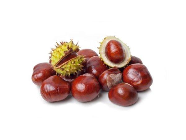 Értékesítése Vadgesztenye gyümölcs (Horse Chestnut) ö