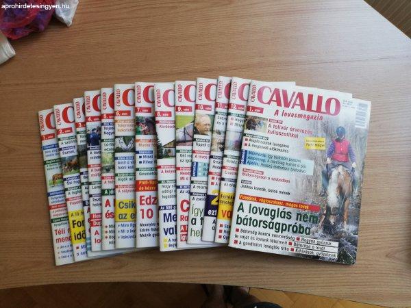 Cavallo magazinok