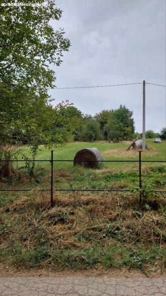 Sármellék hegyen Zártkert eladó 3600nm2 (keszthely)