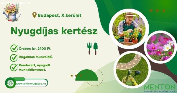 Nyugdíjas kertész