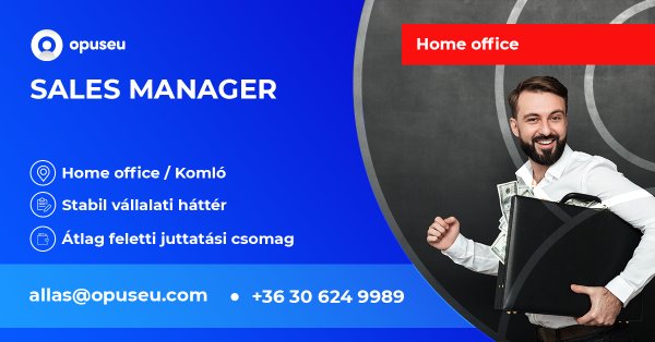 Sales Manager