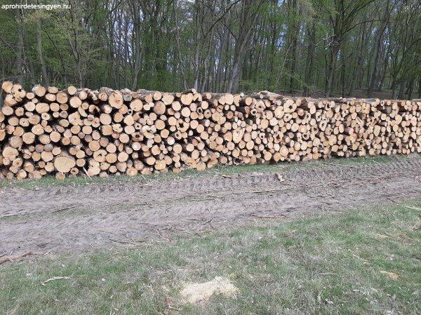 Akác tűzifa eladó