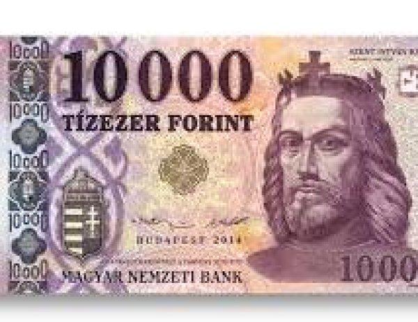 Tàrsalkodónői munka