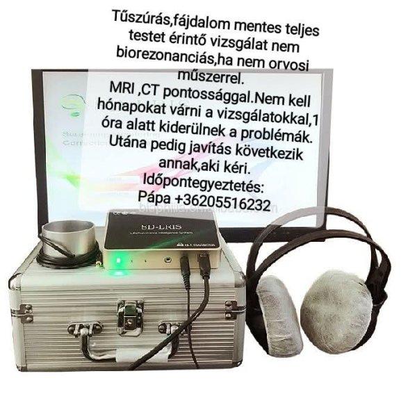 Egészségprogram