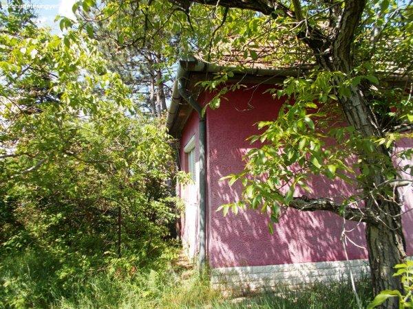 Családi ház nagy telekkel Pest mellett olcsón eladó