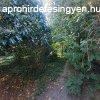 Monor kzpontban egyedi kialakts 160 m2 hz 700 m2 t