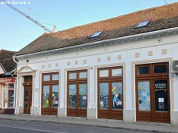 Családi ház üzlethelyiségekkel eladó Baján