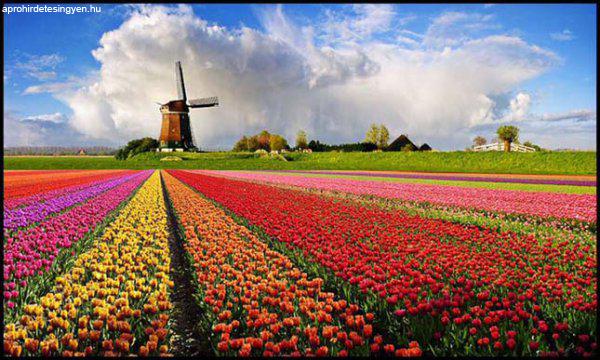 Hollandia Pünkösdkor