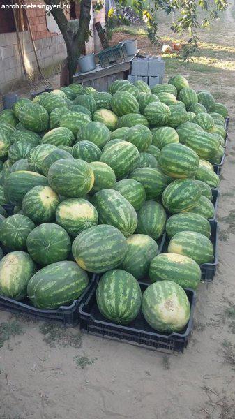 10(kg)+-os mézédes Arashan dinnye eladó Paposon