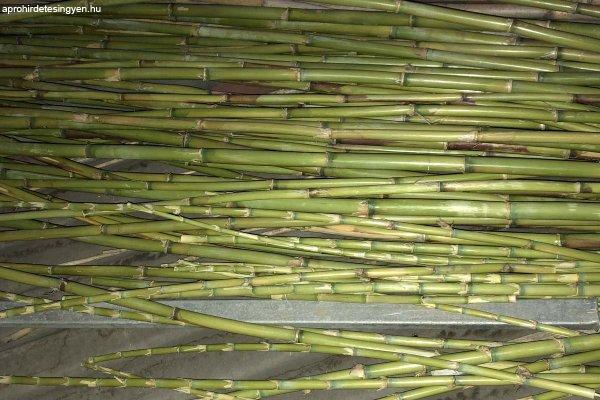 Natúr bambusznád rúd 105 szál bambusz nád rúd bambuszr