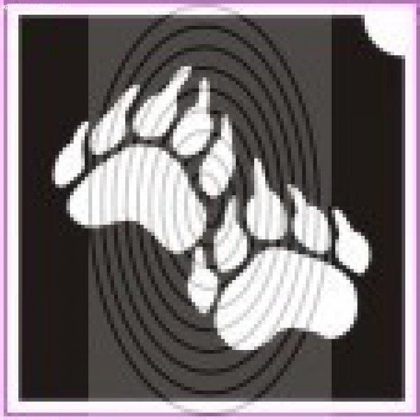 Maci talp (csss0302)
