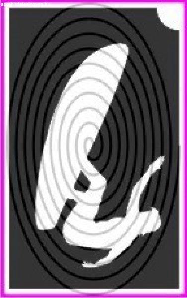 Szörfös (csss0413)