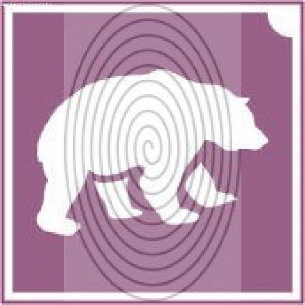 Medve (csss0512)
