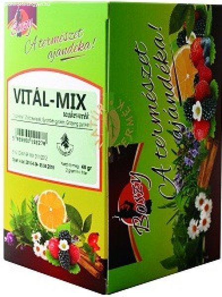 VITAL-MIX filteres tea 20db