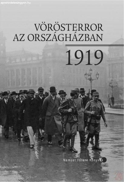 VÖRÖSTERROR AZ ORSZÁGHÁZBAN, 1919 