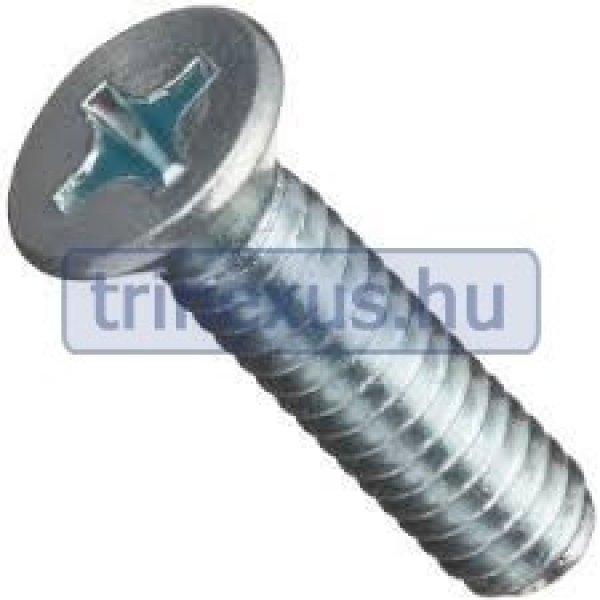 Csavar 10 db csillagfejű inox 4 x 45 mm bliszterpa EVA