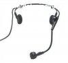 AUDIO-TECHNICA PRO-8HECW fejpntos mikrofon