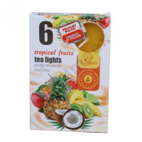 TRÓPUSI GYÜMÖLCS teamécses, illatgyertya 6 db-os (TROPICAL FRUITS)