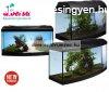 Diversa 40 Led Startup 20 Literes ves Felszerelt Akvrium S