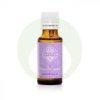 Vilgra hoz (volt vajd) masszzsolaj - 20ml - Panarom