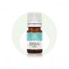 Tmjn - Boswellia carterii illolaj - Bio - 5ml - Panarom