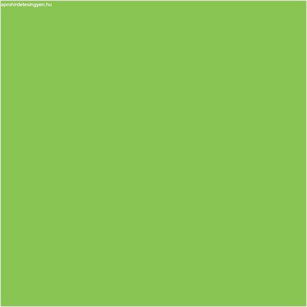 Pentart Kontúrozó festék 20 ml Neon zöld