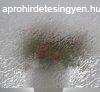 ntapads vegflia hmints Snow 200-0907