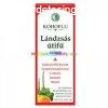 Kohoflu Lndzss tif szirup 150 ml, bbor kasvirg Echinac