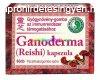 Szerves Pecstviaszgomba, Ganoderma, Reishi 60 db kapszula, 