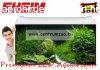 Eheim AquaproLed 80 White 126l Komplett Akvrium (0340899) F