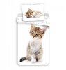 Sweet Animals Kitten white gynemhuzat 140x200 cm