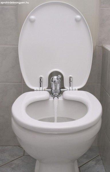 Toilette Nett 520-T bidés WC ülőke