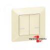 Legrand Valena Life Netatmo intelligens csillrkapcsol elef