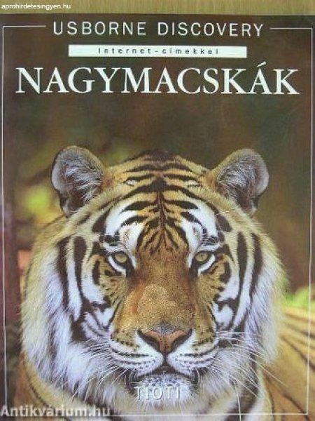 Jonathan Sheikh-Miller: Nagymacskák