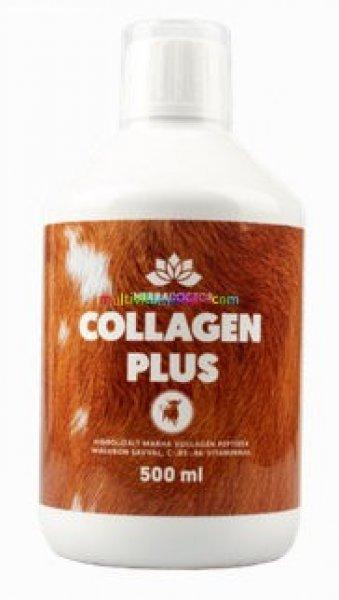 COLLAGEN PLUS, folyékony marha kollagén készítmény 500 ml, 10000 mg
kollagén, 50 mg hialuron adagonként - HerbaDoctor