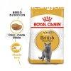 Royal Canin British Shorthair Adult 2 kg