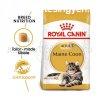 Royal Canin Maine Coon Adult 2 kg