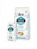 Brit Fresh LARGE BREED HAL & STTK 12 kg
