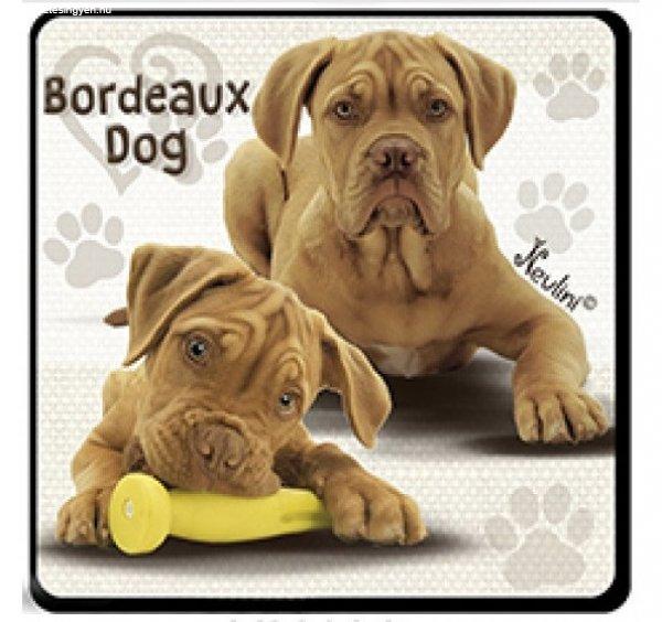 Kutyás hűtőmágnes, Bordeaux Dog