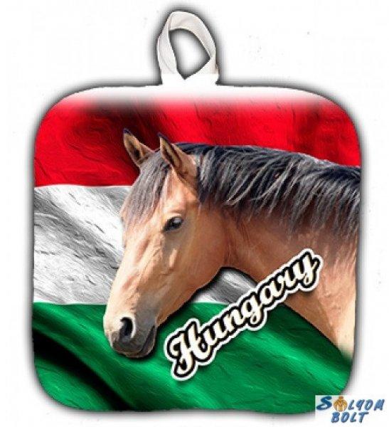 Edényfogó, Hungary, barna ló