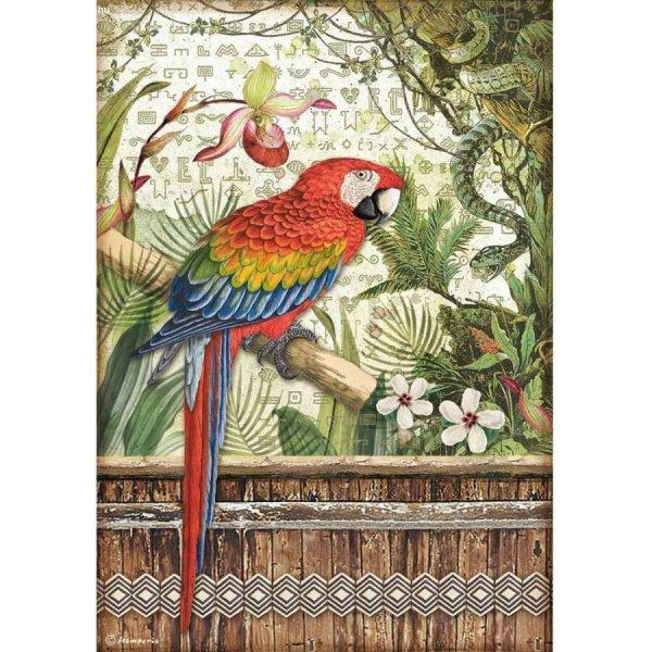 Stamperia Dekupázs rizspapír A4 - Amazónia papagáj 