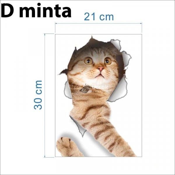 3D Cica Matrica - D minta