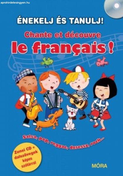 Stéphane Husar - ÉNEKELJ ÉS TANULJ! Chante et découvre le français!