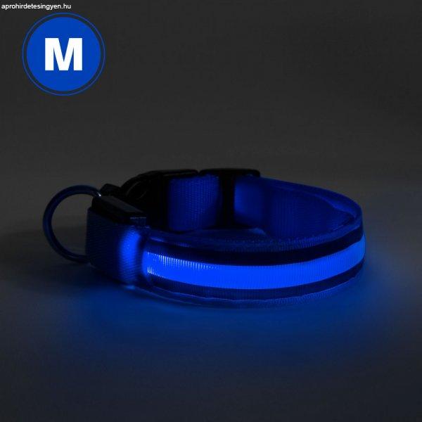 LED-es nyakörv - akkumulátoros - M méret - kék 60028A