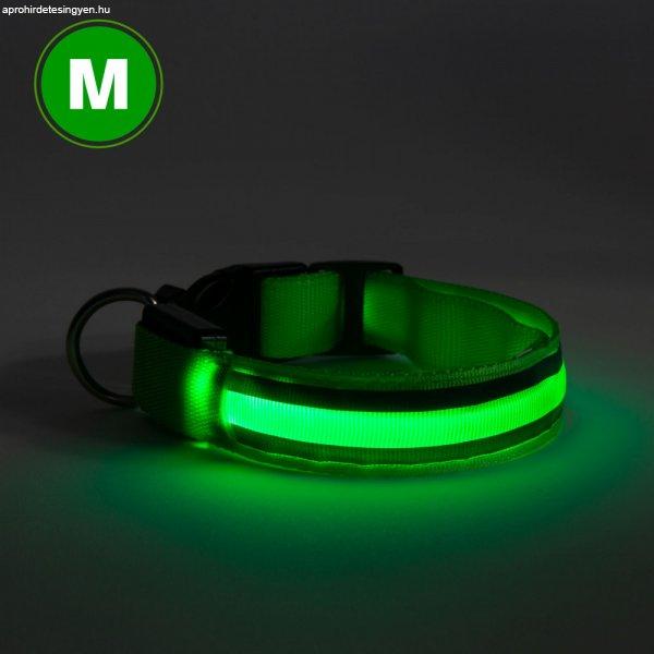 LED-es nyakörv - akkumulátoros - M méret - zöld 60028D