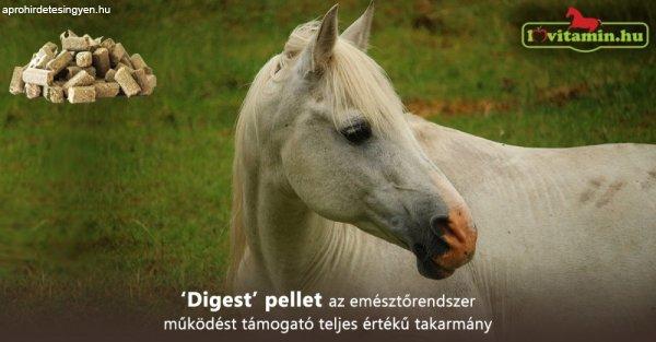 Digest pellet az emésztőrendszer működést támogató teljes értékű
takarmány 20 kg lovaknak