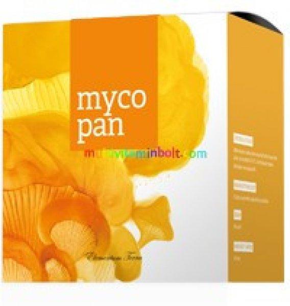 Mycopan 90 db kapszula, Hamvaskéreg gomba, téli fülőke, mandulagomba,
édeskömény, fehér üröm és graviola Energy